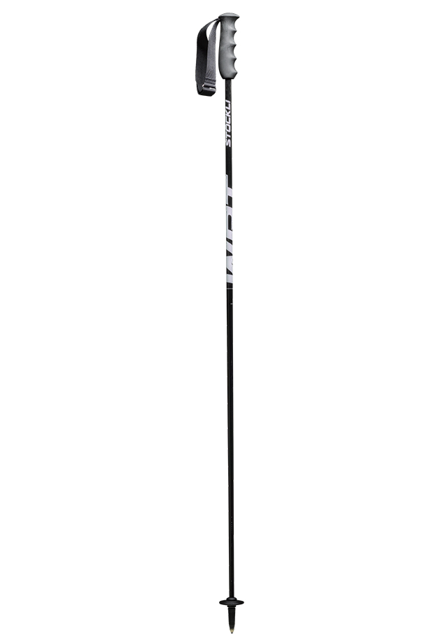 ski_img